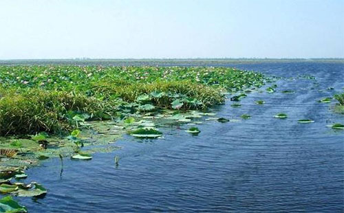 湖北洪湖市什么时候解封 洪湖市属于哪个市