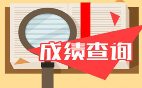 全国税务师职业资格考试成绩查询官网 查询方法