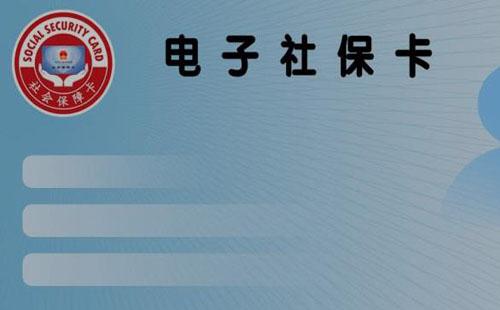 电子社保卡和实体社保卡的密码一样吗