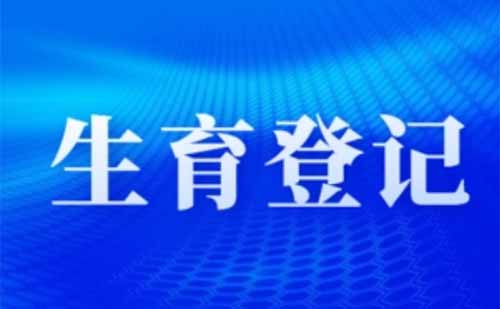 2022武汉生育登记网上办理指南(鄂汇办APP)