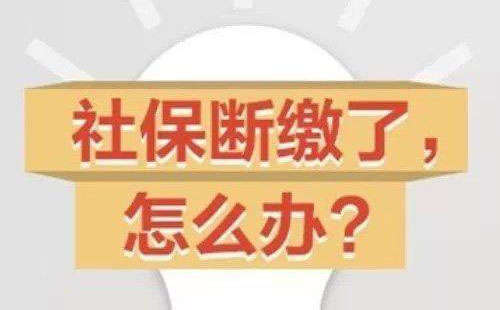 武汉怎样社保补缴 社保补缴的流程