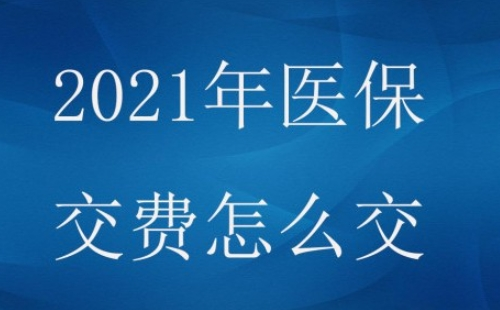 武汉居民医保怎么交费2021