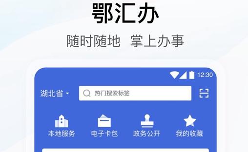 武汉鄂汇办app医保不能缴费是为什么