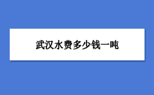 2022年武汉水费收费标准