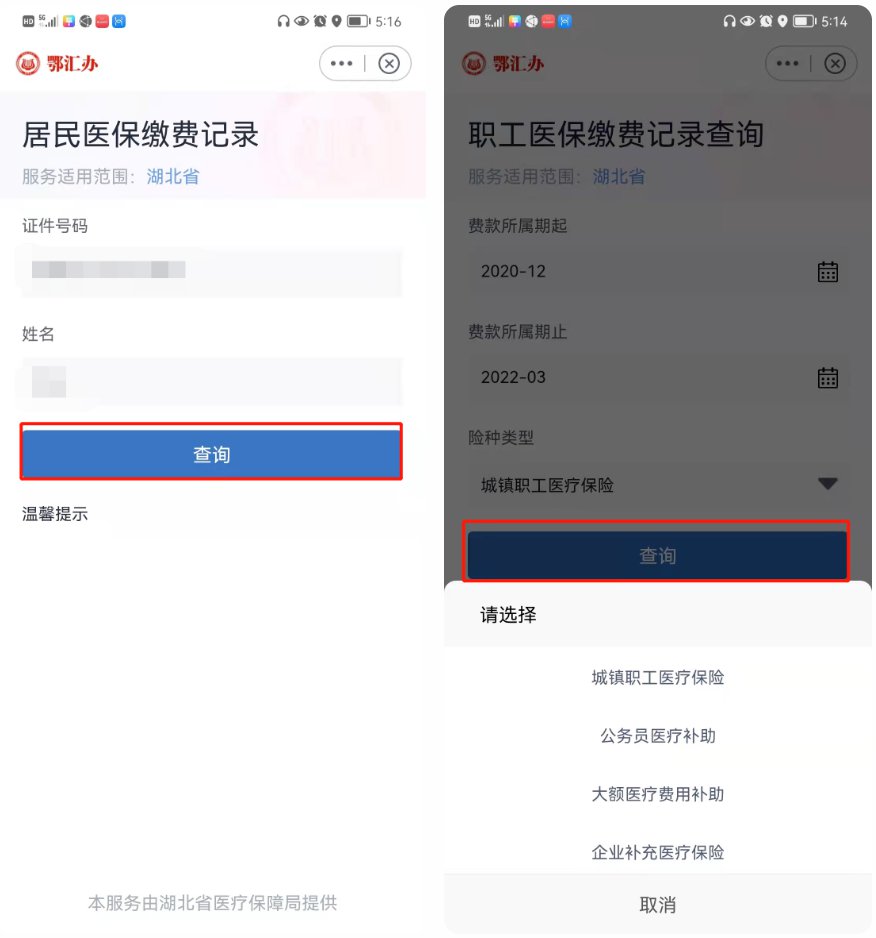 鄂汇办怎么查询医保余额和缴费记录