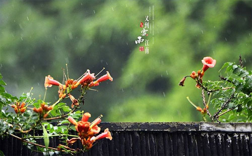 武汉周四将迎第四轮梅雨 汛期出行注意事项