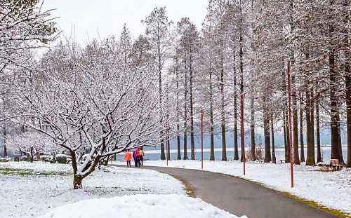 武汉今年冬天冷吗 什么时候下雪(初雪时间)