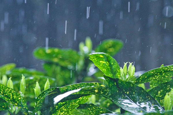 武汉未来天气预报 气温浮动有阵雨