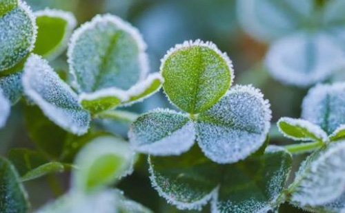 武汉下雪了吗 湖北下雪的地方