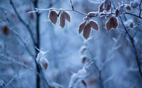 初雪后武汉多云转阴天为主