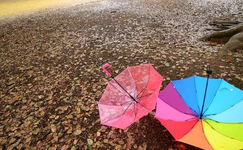 武汉降雨量图表柱状图8月20日07时