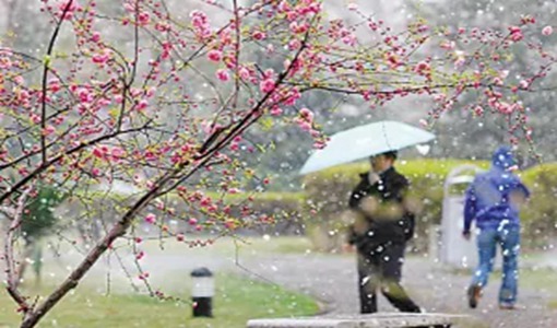 武汉倒春寒什么时候结束 武汉三天天气预报（3月21日-3月23日）