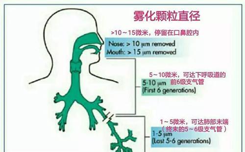 2021年雾化吸入式新冠疫苗最新进展