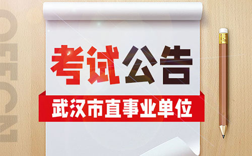 2022武汉事业单位招聘职位表查询及下载入口