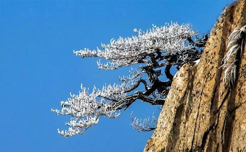 武汉周边赏雪的景点推荐