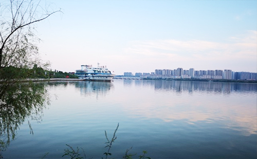 武汉湿地公园在哪(地址+门票+交通指南)