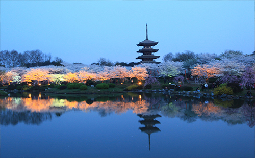 2019武汉春节游玩攻略 2019春节风景好安静的旅游胜地