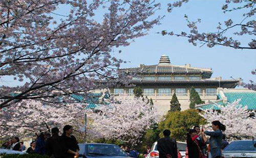 ​2019武大樱节时间(预约流程) 武大樱花要门票吗