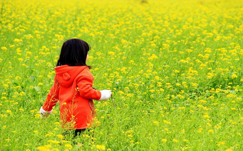 武汉哪里适合清明节踏青