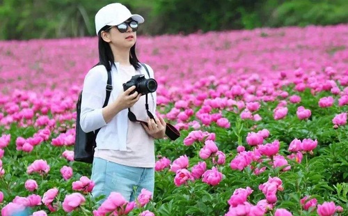 五一武汉最佳赏花景点在哪