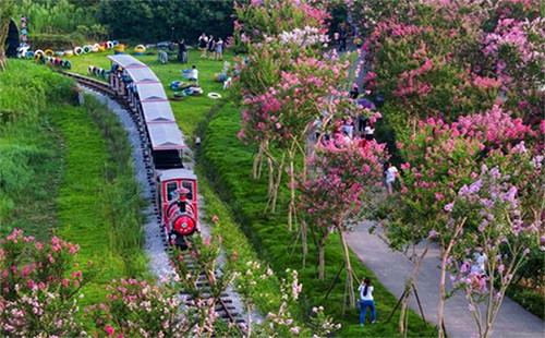 武汉紫薇都市田园景区门票（优惠政策+包含游玩项目吗）