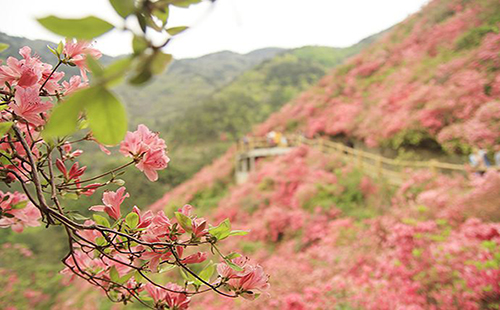 武汉木兰山好玩吗 武汉木兰山游玩攻略