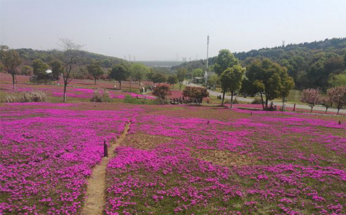 汉南区附近有哪些自然生态公园