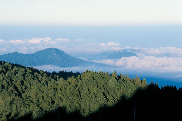 青龙山森林公园（出门准备+徒步路线）