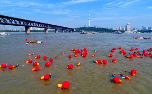 2019武汉渡江节最佳观赛地点在哪