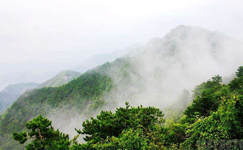 木兰云雾山好玩吗（在哪里） 木兰云雾山门票多少钱一张