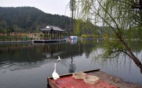 武汉野村谷地址（门票+游玩攻略+交通路线）