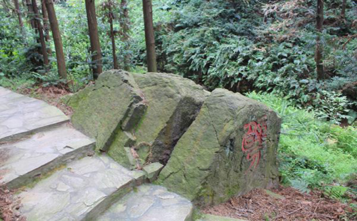 九真山风景区好玩吗（内部景点+票价+地址+到达方式）