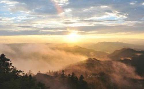 横岗山生态园有哪些寺庙景观（门票 地址）