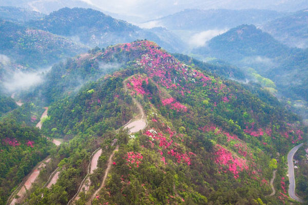 武汉爬山的好去处 武汉市内哪里适合爬山（开放时间+交通+门票）