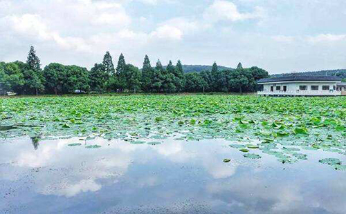 东湖绿道又添网红景点 慧心雅社石招牌变身打卡地