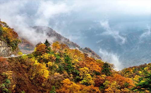 恩施·神农架生态旅游区这段时间免费游玩