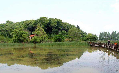 武汉严西湖湿地生态园游玩攻略 武汉东湖落雁景区有哪些景点