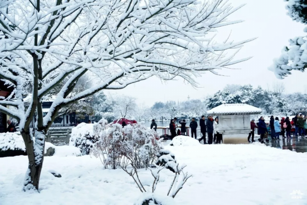 武汉下雪 武汉2020年第一场雪下在了哪里