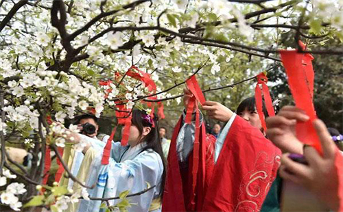 2020新洲花朝节取消_举办时间