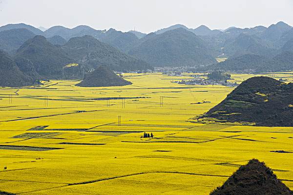 湖北哪里可以赏油菜花 湖北最强赏油菜花攻略