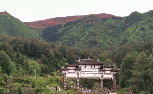 武汉龙泉山风景区在哪里  值不值得去