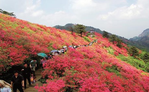 2020大武汉旅游年卡包括哪些景点