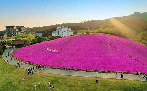 2023黄陂赏花地图(时间+地点)