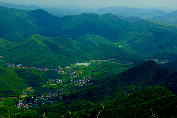 莫干山适合避暑吗 八月份旅游去莫干山怎么样