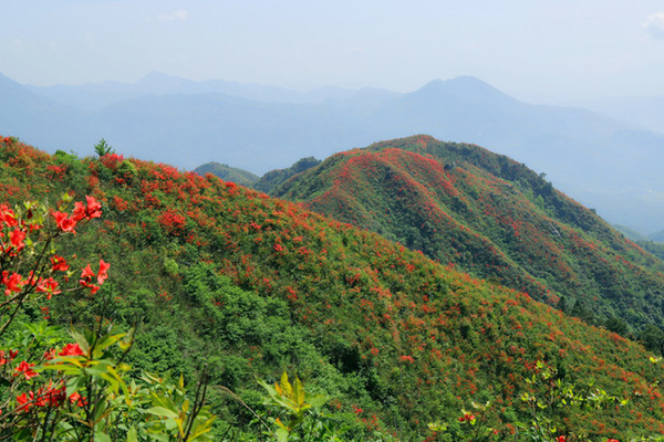 武汉去武功山的旅游攻略 武功山有哪些好玩的景点(开放时间+门票+交通)