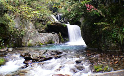 湖北神农架旅游景区10-12月门票优惠详情(含旅游攻略)