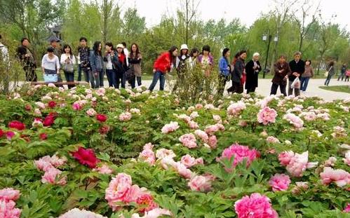 湖南省森林植物园门票价格(地址+花期+交通+开放时间)