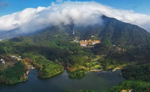 2020春节仙湖植物园、弘法寺预约购票流程_时间_公交接驳