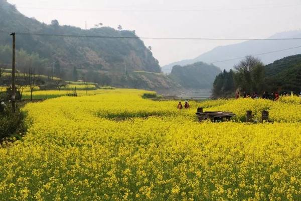 清明假期4325.4万人次出游 2020清明节旅游有哪些特点