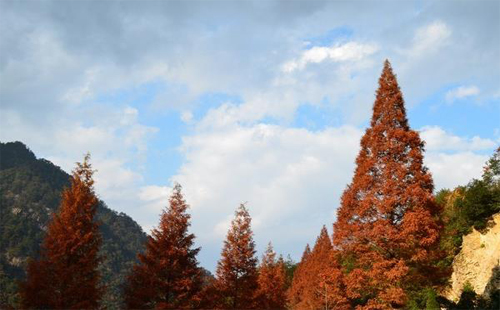 杭州大明山景区门票及优惠政策2020_开放了吗_滑雪场价格